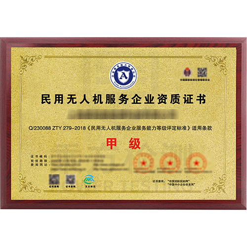 UAV Enterprise Service Capability Level Qualification