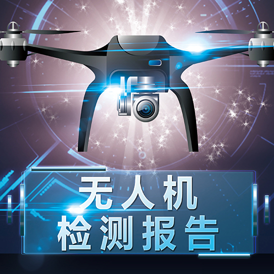 Drone Inspection Report